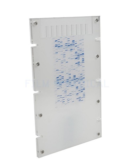 Gene Sequence Plate